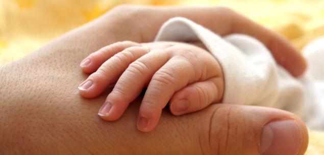 baby and dad hands image